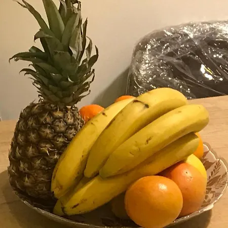 Sunny Valley Milmari S-9 Kopaonik